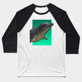 Tropical Dolphin Baseball T-Shirt